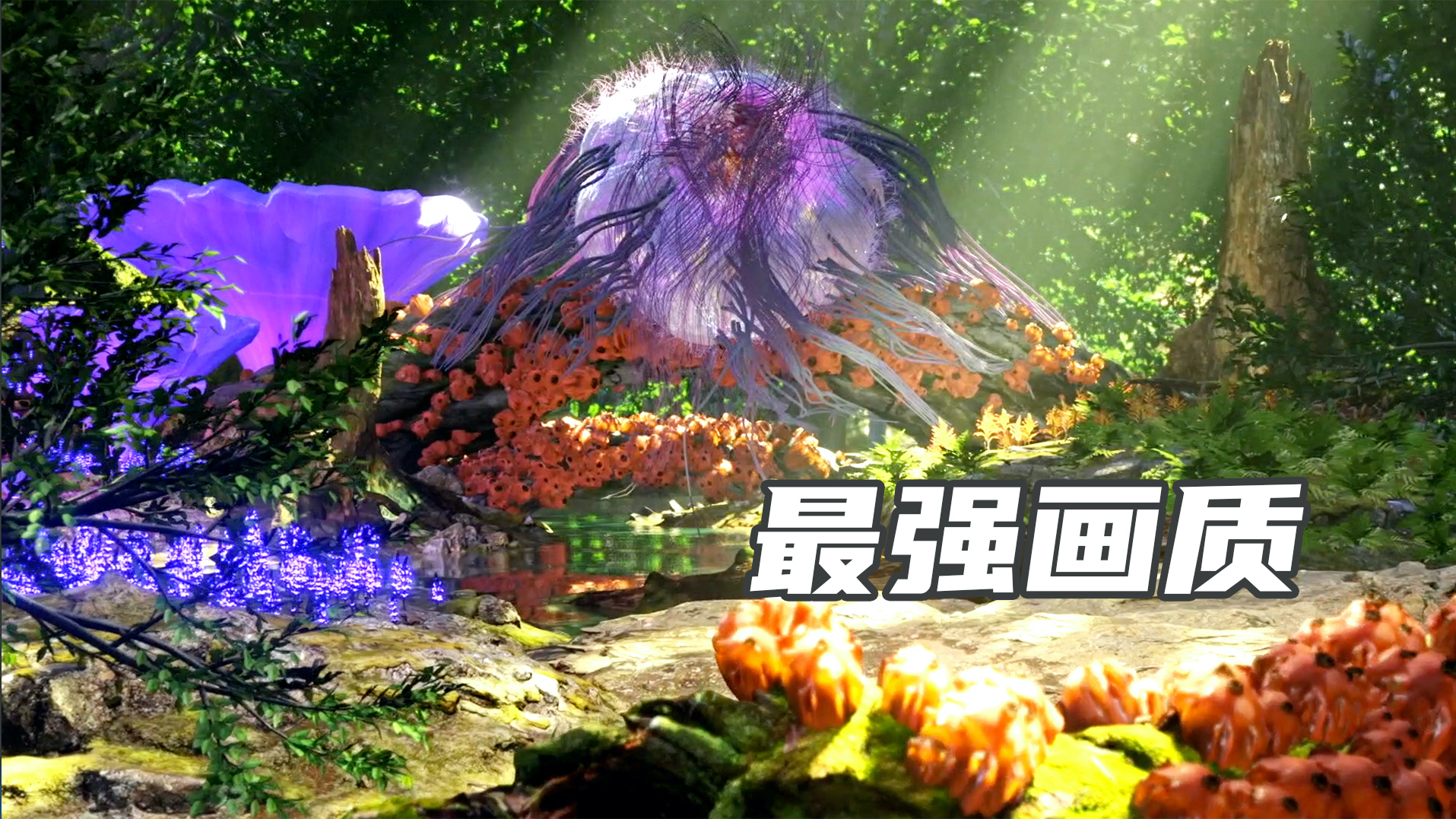 【爆肝兄弟原创】这是我看过画质最好的山海经动画了,没有之一
